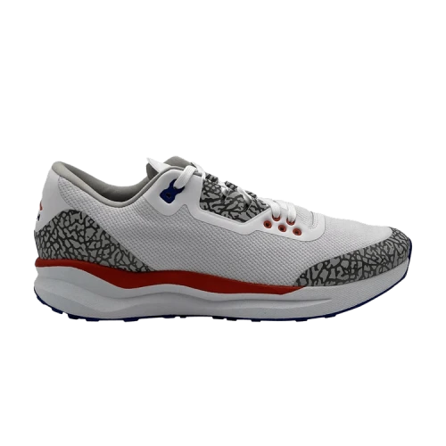 Air Jordan Zoom Tenacity 88 'Florida Gators' PE