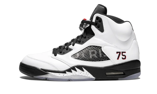 Jordan 5 Retro Paris Saint-Germain White (F&F)