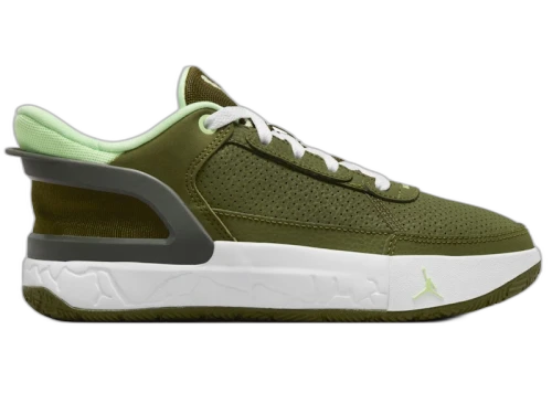 Jordan DAY1 EO Legion Green Moss Cactus Flower Vapor Green (GS)