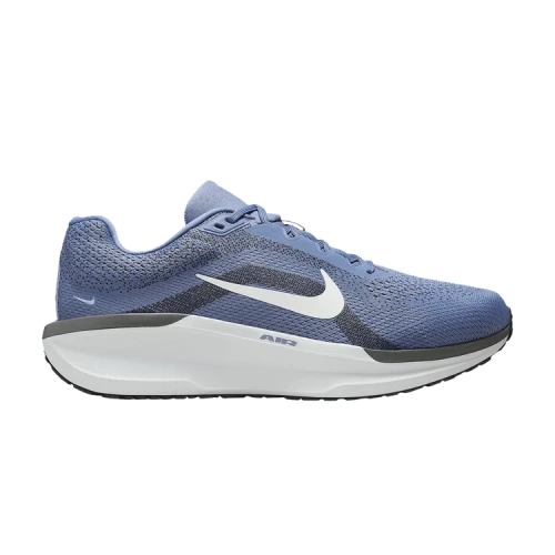 Nike Winflo 11 World Indigo Light Armory Blue Anthracite Sail
