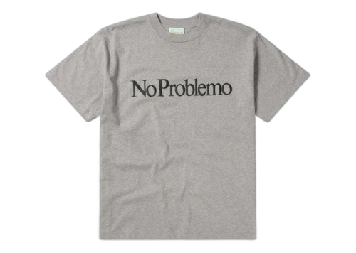 Aries No Problemo SS Tee Grey Marl