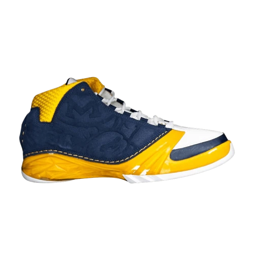 Jordan 23 Retro Michigan Wolverines PE