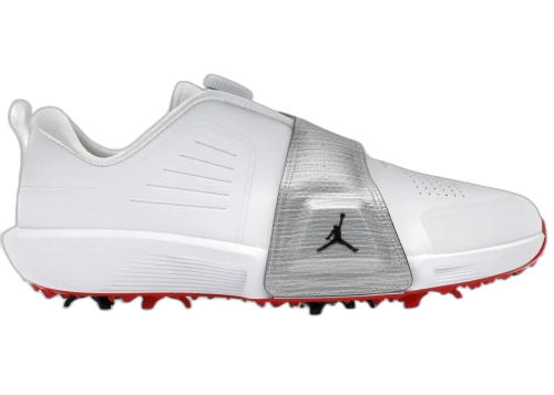 Jordan Air Rev White Metallic Silver