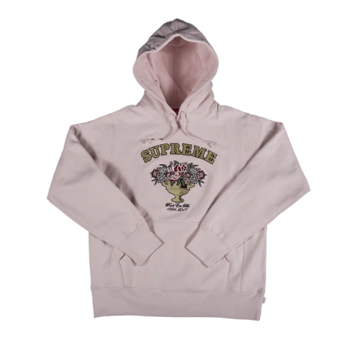 Supreme Centerpiece Hooded Sweatshirt 'Pink'