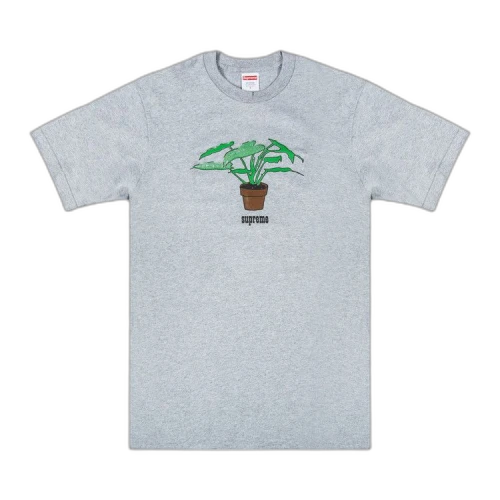 Supreme Plant T-Shirt 'Grey'