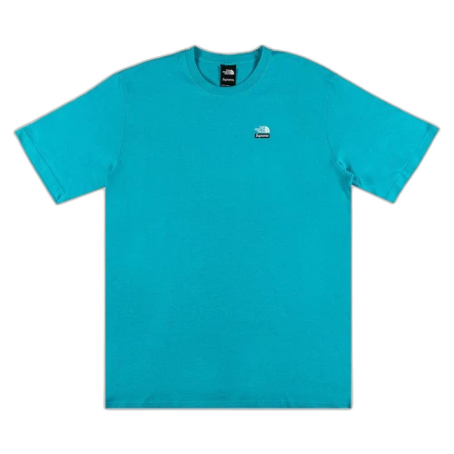 Supreme x The North Face Mountains Tee 'Teal'