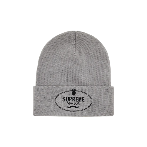 Supreme Crest Beanie 'Grey'