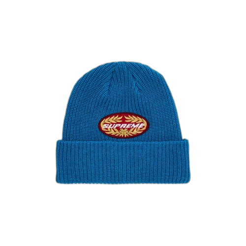 Supreme Terminal Beanie 'Cyan'