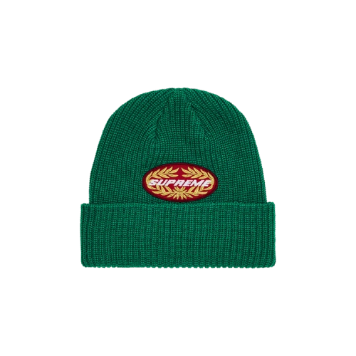 Supreme Terminal Beanie 'Green'