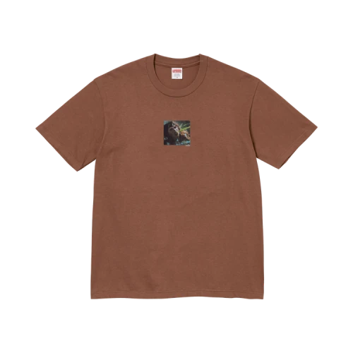 Supreme x The Exorcist Puke Tee 'Brown'
