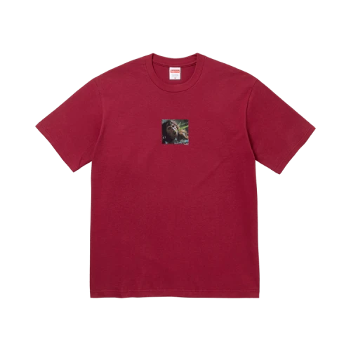 Supreme x The Exorcist Puke Tee 'Cardinal'