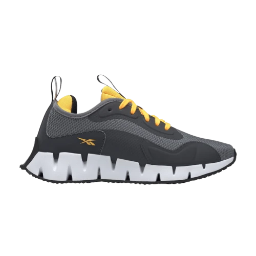 Reebok Zig Dynamica J 'Cold Grey'