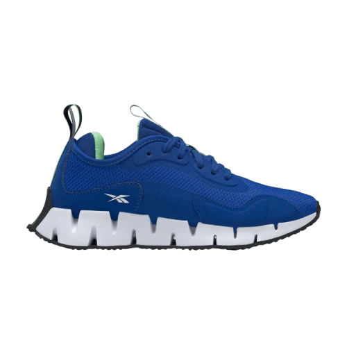 Reebok Zig Dynamica J 'Collegiate Royal'