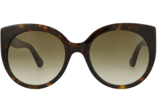 Gucci Cat Eye-Frame Acetate Sunglasses Havana/Havana/Brown (GG0325S-30002854-002)