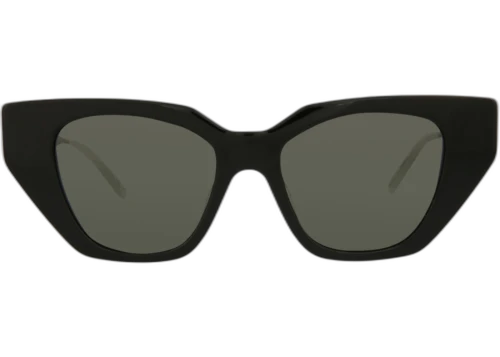 Gucci Cat Eye-Acetate Frame Sunglasses Black Silver Grey (GG0641S-30008610-001)