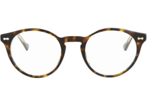 Gucci Round-Frame Acetate Optical Frames Havana Havana Transparent (GG0738O-30008903-002)