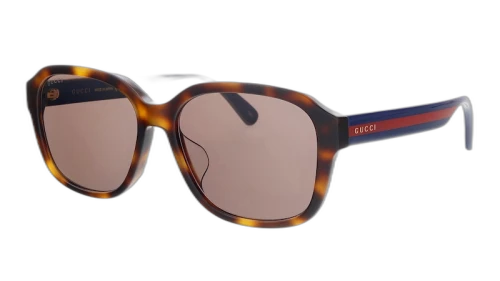 Gucci Square Sunglasses Havana (GG0929SA-002)