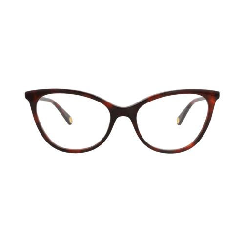 Gucci Cat Eye-Frame Acetate Optical Frames Havana Havana Transparent (GG1079O-30012800-002)