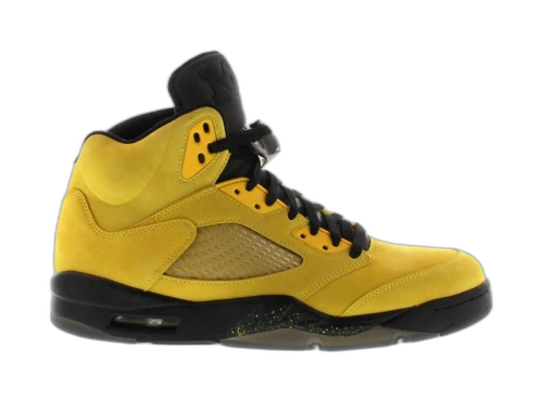 Jordan 5 Retro Fab Five PE