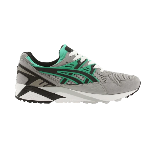 Asics Gel Kayano Trainer