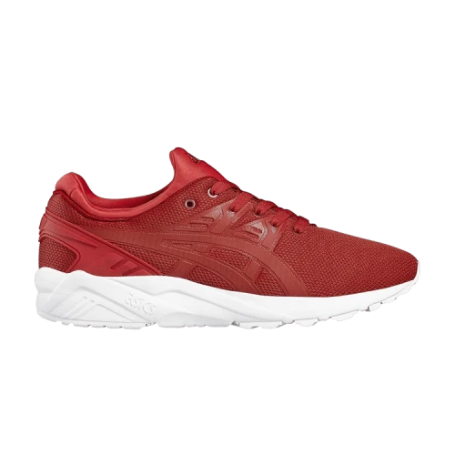 Asics Gel Kayano Trainer Evo