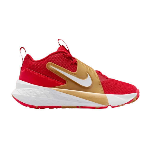 Nike Team Hustle D 12 University Red Gold White (GS)