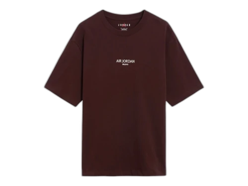 Jordan Wordmark Beijing Fleece Tee Earth