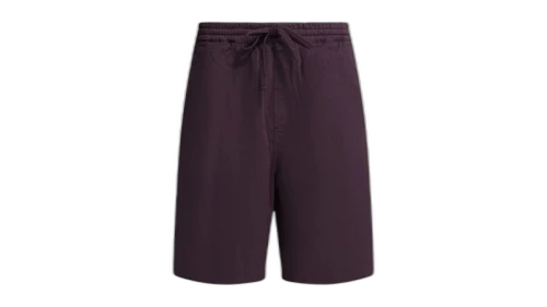 Carhartt Floyde Short Sweatpant Purple
