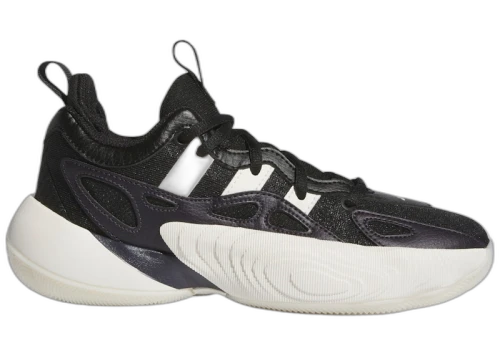 adidas Trae Young Unlimited 2 Core Black Cloud White Aurora Black (GS)