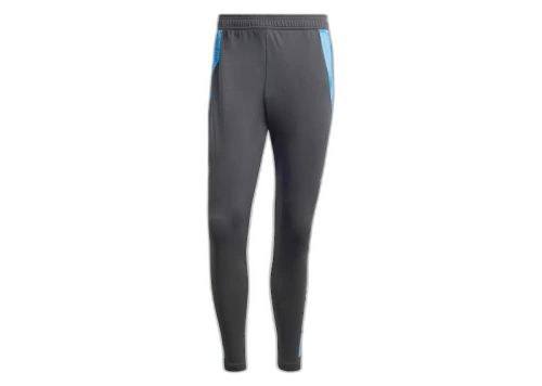adidas Argentina Tiro 24 Competition Training Pants Carbon