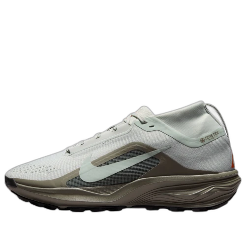 Nike ACG Pegasus Trail Gore Tex 'Light Silver Army'
