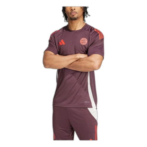 adidas FC Bayern Tiro 24 Training Football Jersey Asia Sizing 'Purple'