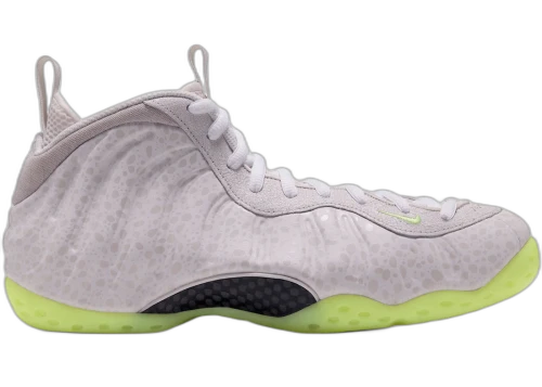 Nike Air Foamposite One Mummy