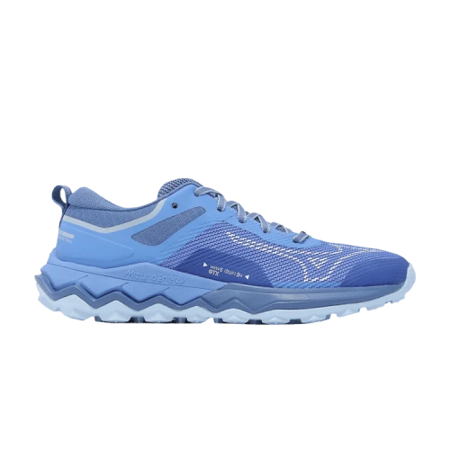 Mizuno Wave Ibuki 4 GORE-TEX 'Marina' (Women's)