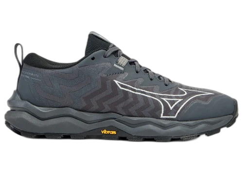 Mizuno Wave Daichi 8 Gore-Tex Iron Gate Nimbus Cloud Black (Women's)