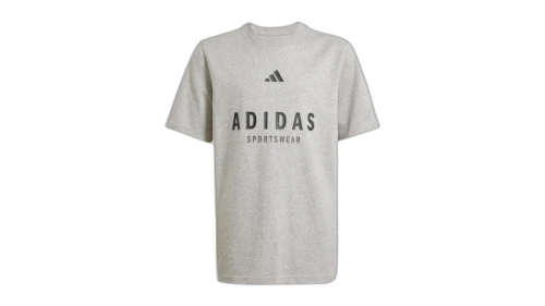 adidas All Szn Graphic Tee Medium Grey Heather/Black