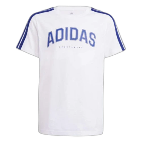 (GS) adidas Codes Collegiate Graphic T-Shirt 'White Blue'