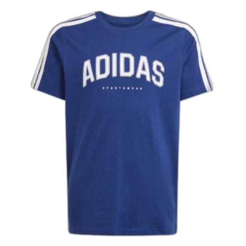 (GS) adidas Codes Collegiate Graphic T-Shirt 'Blue White'