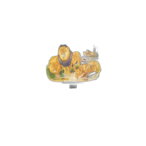 Kith Kids For AMNH Lion Tee 'White'