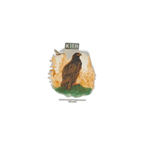 Kith For Columbia Eagle Illustration Vintage Tee 'History'