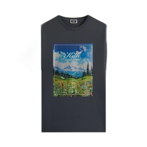 Kith Landscape Vintage Tee 'Torpedo'