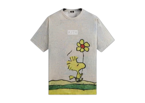 Kith x Peanuts Woodstock Comic Vintage Tee Chalk