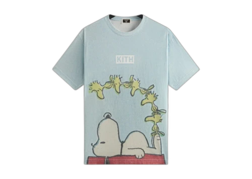Kith x Peanuts Woodstock Doghouse Comic Vintage Tee Glisten