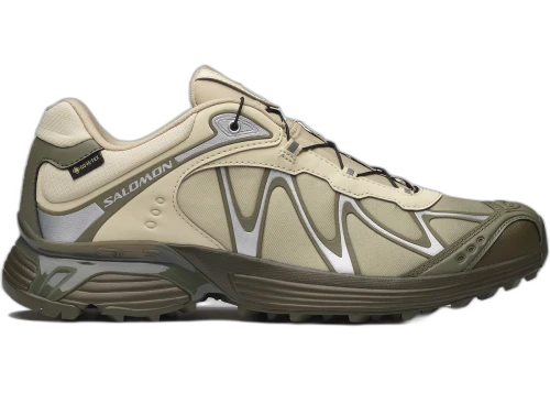 Salomon XT-Whisper Gore-Tex Aspargus Green Deep Lichen Green Grape Leaf