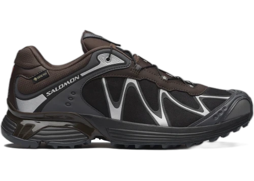 Salomon XT-Whisper Gore-Tex Delicioso Asphalt Castlerock