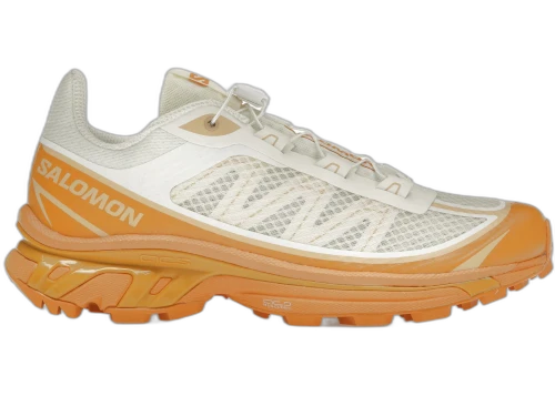 Salomon XT-6 FT Vanilla Ice Hazelnut