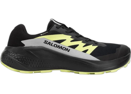 Salomon Alphaglide Gore-Tex Black Alloy Sharp Green