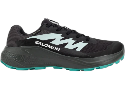 Salomon Alphaglide Gore-Tex Hantom Urban Chic Waterfall (Women's)