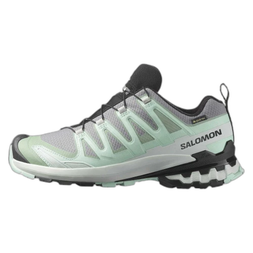 Salomon XA Pro 3D V9 GORE-TEX 'Quiet Shade' (Women's)