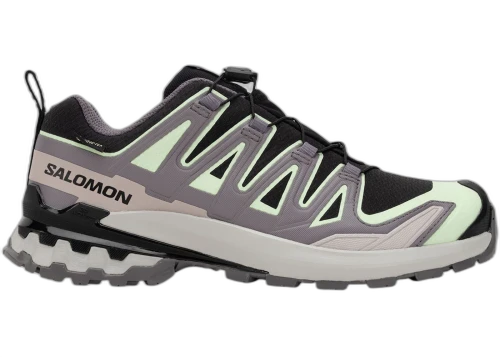 Salomon XA Pro 3D V9 Gore-Tex Black Patina Green Grey Violet (Women's)